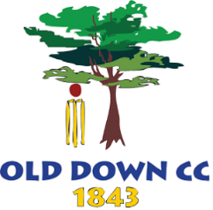 old down cricket club in olveston parish council